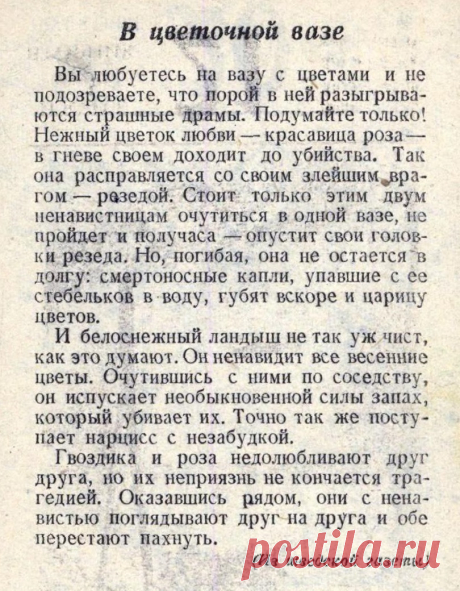 Неуживчивые соседи в цветочной вазе