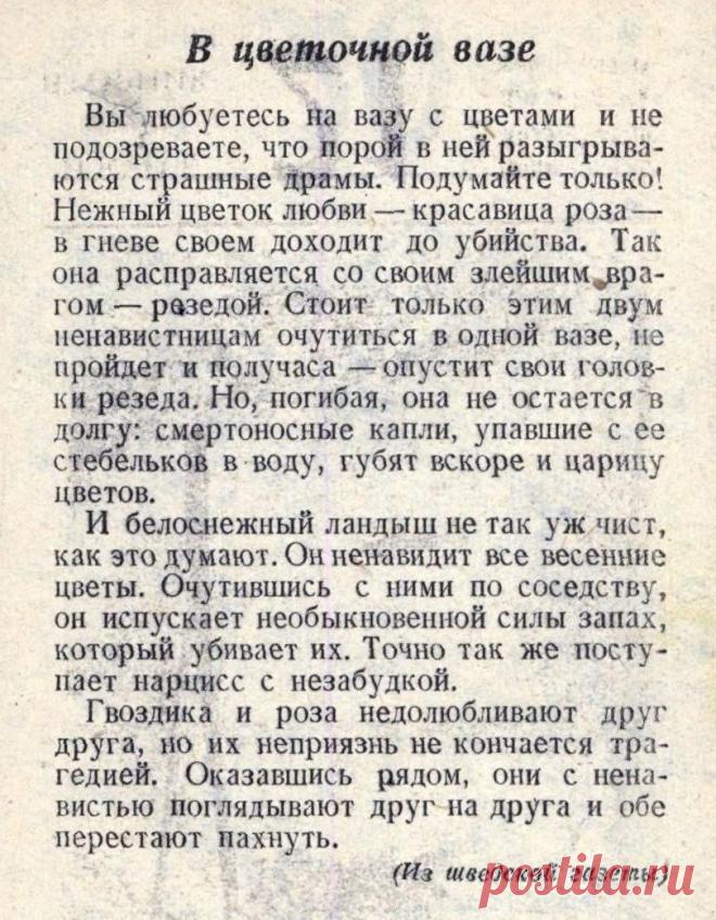 Неуживчивые соседи в цветочной вазе