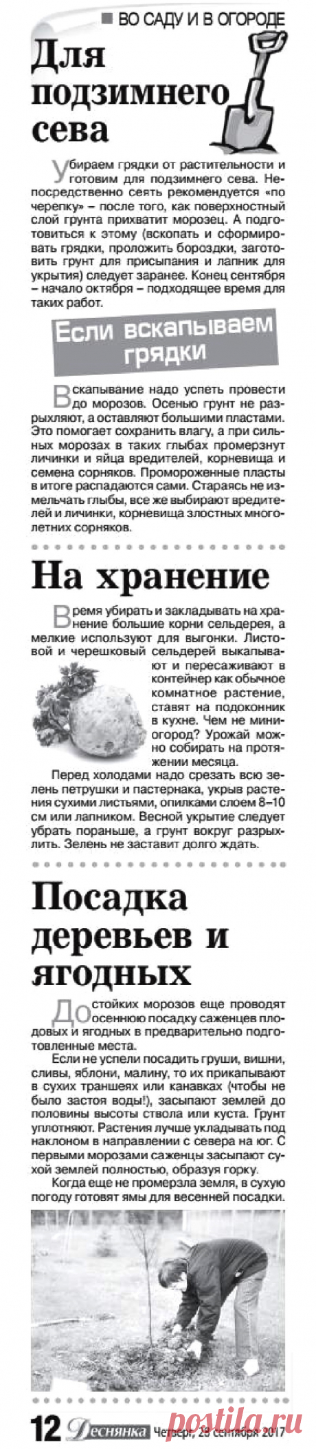 Дачные советы - октябрь