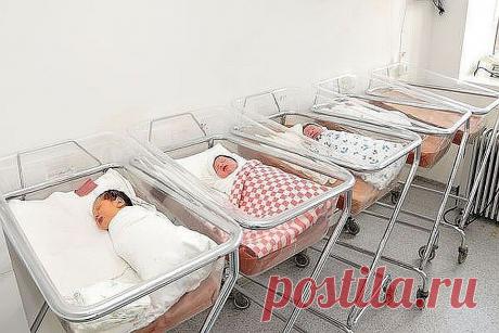 Нерон, Анксунамун, Пафнутий: Названы самые редкие имена детей в Петербурге в 2018 году