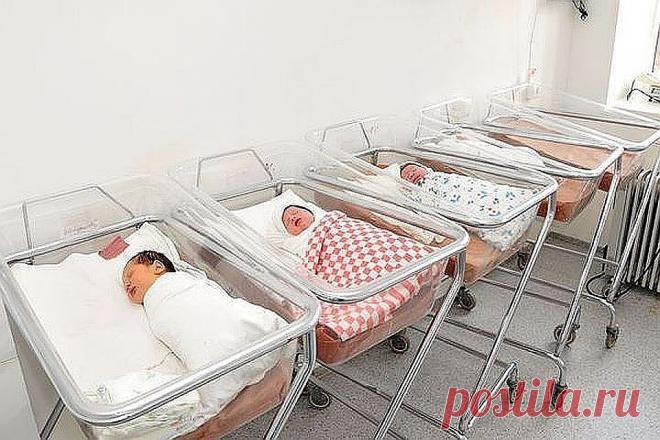 Нерон, Анксунамун, Пафнутий: Названы самые редкие имена детей в Петербурге в 2018 году