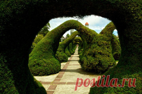 Парк "Франциско Альварадо",