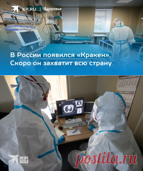 12-1-23-Симптомы коронавируса Кракен: как определить что у меня новый коронавирус - KP.RU