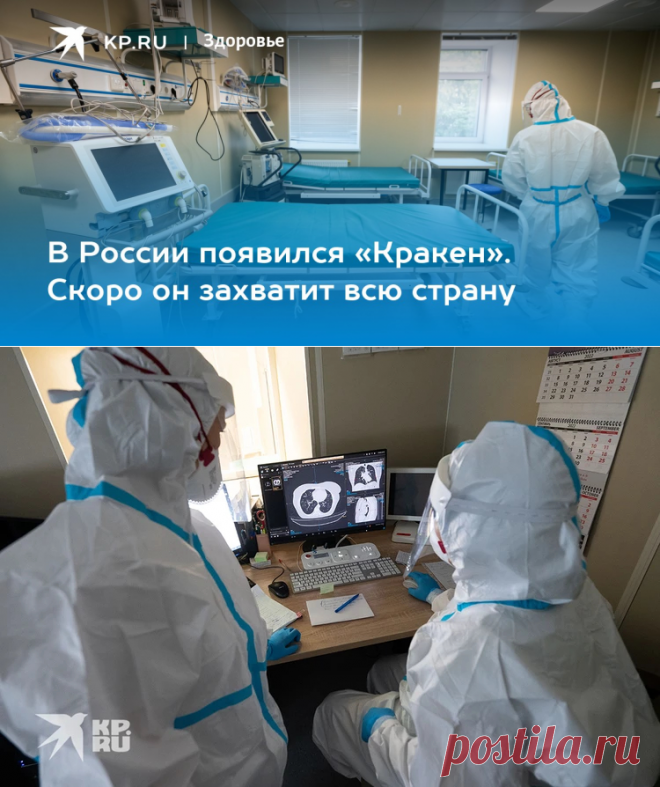 12-1-23-Симптомы коронавируса Кракен: как определить что у меня новый коронавирус - KP.RU