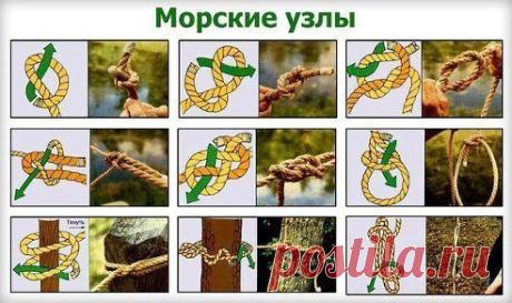 Сохрани себе!