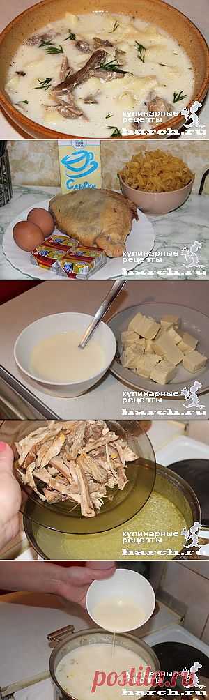 Сливочный куриный супчик с лапшой и сыром | Харч.ру - рецепты для любителей вкусно поесть