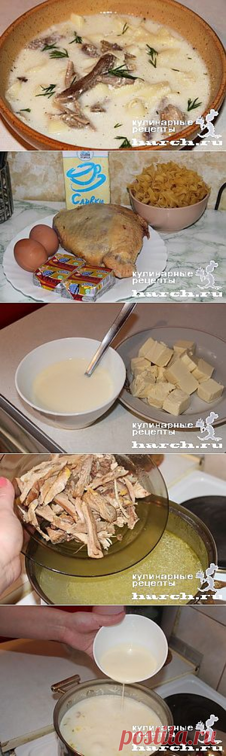 Сливочный куриный супчик с лапшой и сыром | Харч.ру - рецепты для любителей вкусно поесть