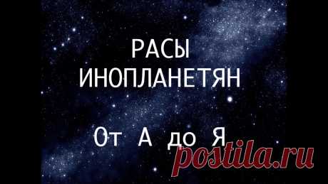 [Видео@Mail.Ru] Видео "Расы инопланетян. Часть 1" готово к просмотру - Почта Mail.Ru