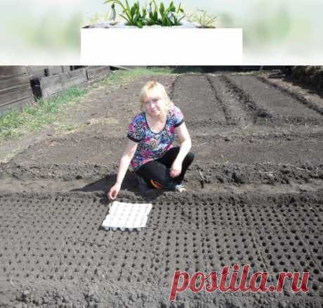 (4) Одноклассники