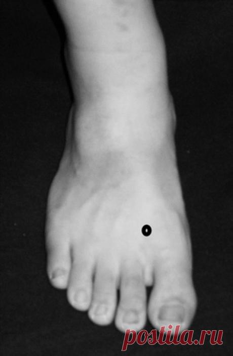 Два Совета Профессора У Цинчжуна | «Яншен Дао — Путь Здоровья И Долголетия»