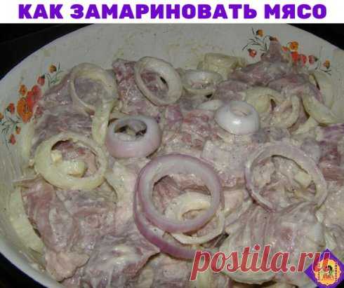 КАК ЗАМАРИНОВАТЬ МЯСО ДЛЯ ШАШЛЫКА? 7 СПОСОБОВ 
Сейчас, пожалуй, проще в магазине купить прочно запакованное ведерко шашлыка и не заморачиваться с ложками и плошками, но собственноручно приготовленный шашлык вкуснее, и вы всегда знаете, из какого мяса он сделан. 
Общие сведения: 
- говядина и баранина режется небольшими кубиками, свинину можно нарезать достаточно крупно, она хорошо принимает маринад; 
- баранину приготовить сложнее всего, она обладает специфическим запахом. Сложно выбрать хор