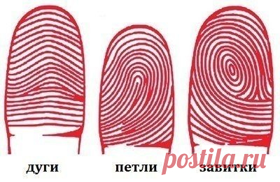 Характер по узорам отпечатков пальцев! » Женский Мир