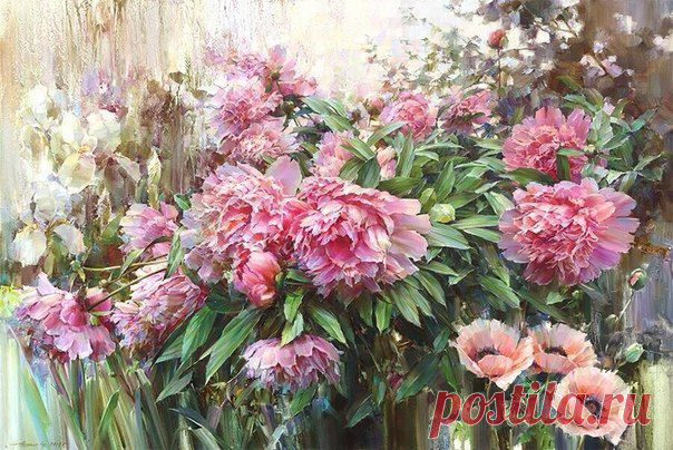 Елена Балакина