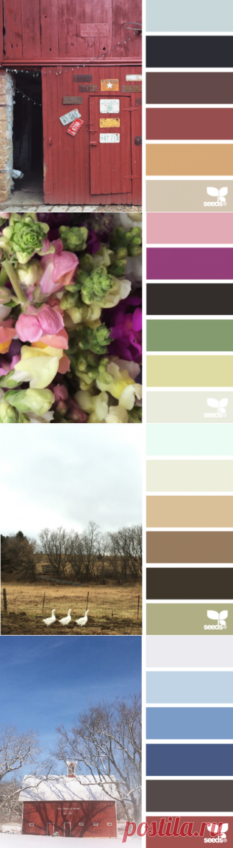 design seeds | for all who ♥ color