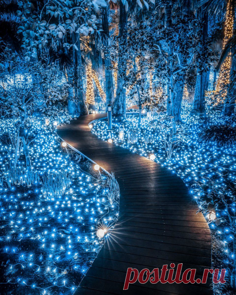 233e0272bb189c964894d22cc370fb6c.jpg (960×1200)