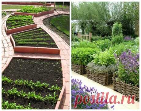 Огород в радость, или Как создать идеальные грядки