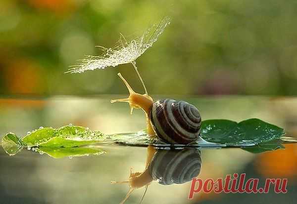 Если вы всегда спешите, вы можете пропустить чудо.