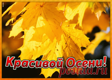 Картинка красивой осени