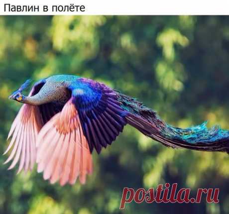 Как такое возможно?