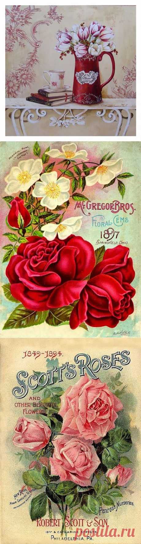 Для декупажа / Декупаж для начинающих / PassionForum - мастер-классы по рукоделию