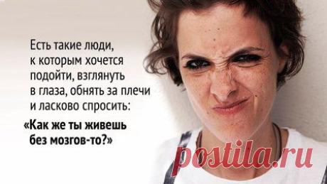 Как же ты живешь без мозгов-то? Снобам посвящается / Психология заметка