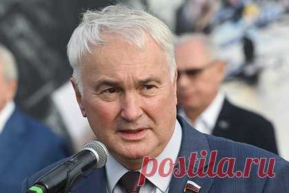 Российский генерал оценил идею использовать штурмовую кавалерию на СВО