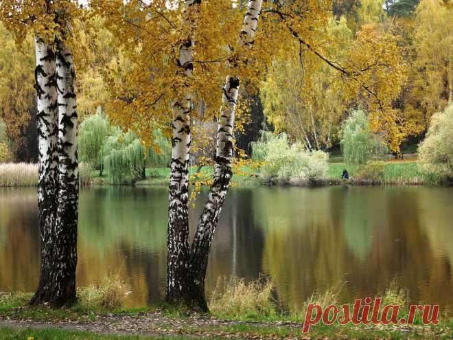 apply3 — «В осеннем парке» на Яндекс.Фотках