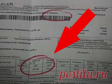 От каких платежей и взносов освобождают пенсионеров в этом году? | Все Льготы | Дзен