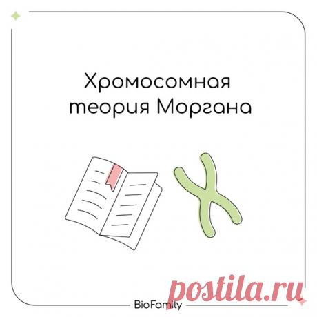 Продолжаем изучать генетику!
Сегодня разберём хромосомную теорию Моргана
Томас Морган — американский генетик, которой внёс значительный вклад в развитие генетики в начале ХХ века
#GoFor100Генетика
#GoFor100Теория