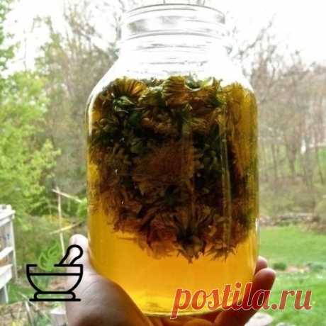 Пост на стене Самое мощное масло быстро устранит боли в суставах, шее, артрит, подагру, кисты в груди, головные боли и не только!Одуванчик лекарственныйЭто скромное растение большинство считает сорняком. Однако желтый одуванчик издревле ценится за свои лекарственные свойства. Его используют в фитотерапии для лечения инфекций, болезней желчного пузыря и печени, а также в качестве мочегонного средства.Знаешь ли ты, что это растение — одно из самых эфф...