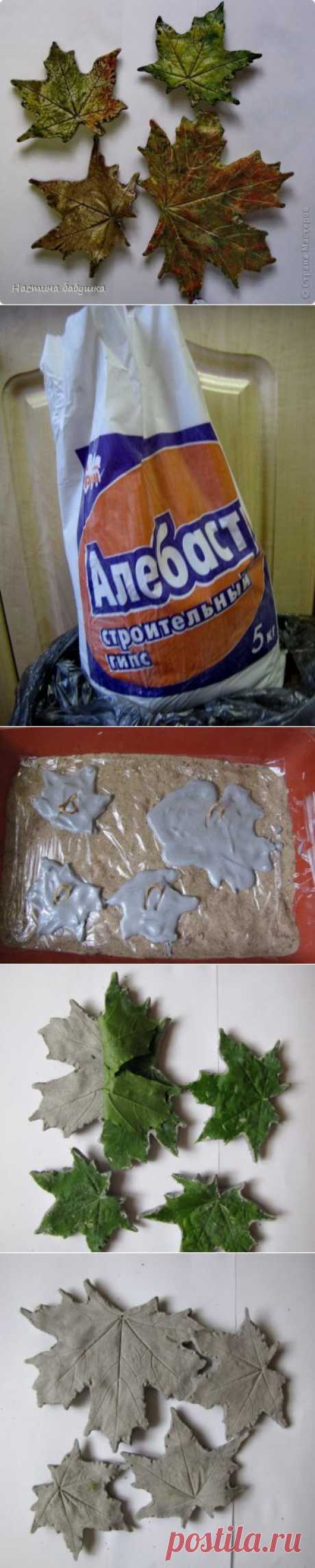 Без заголовка