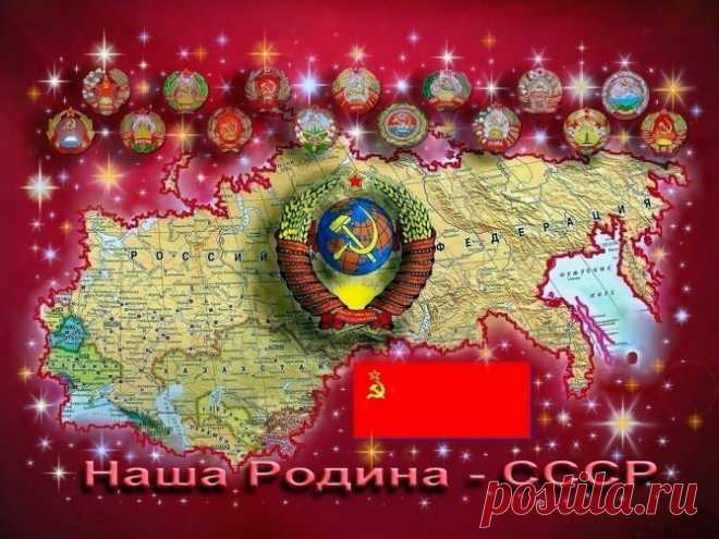 Вернёмся  в СССР? От автора: «Я устал идти по пути демократических реформ, у меня кончились деньги и спились соседи. А в моем телевизоре зловеще воет ветер будущих перемен, и головы дикторов новостей наперебой пугают меня достояниями демократии…»