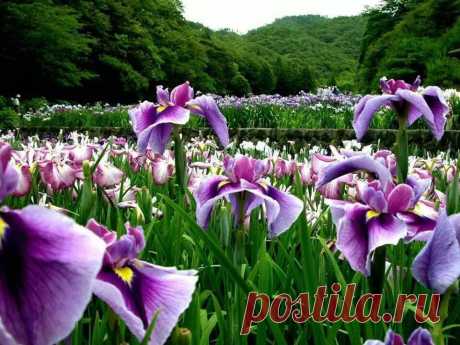 (2) Facebook