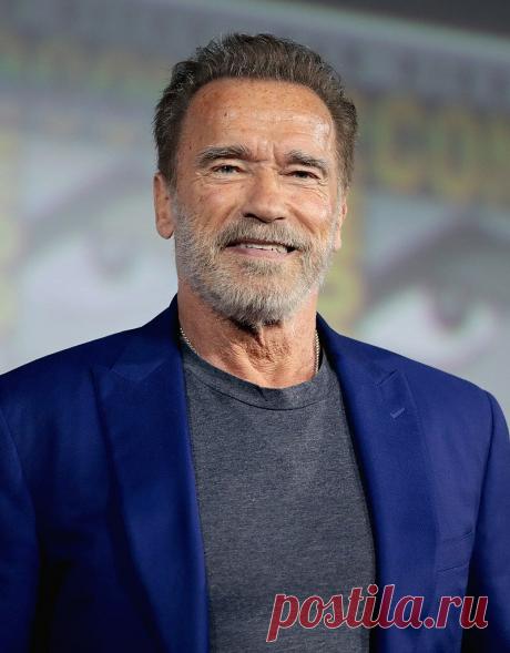 Шварценеггер раскритиковал антипрививочников | Красота тела | Яндекс Дзен