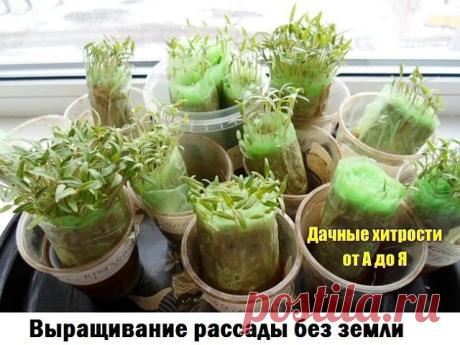 (50) Одноклассники