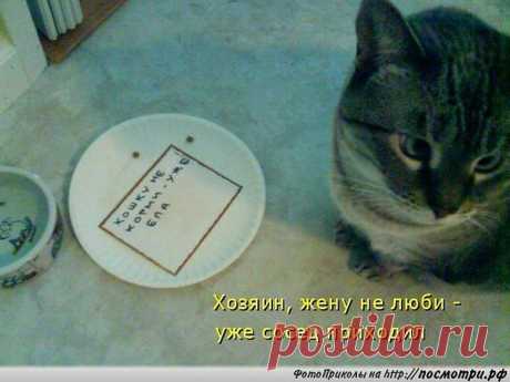 Интересные новости