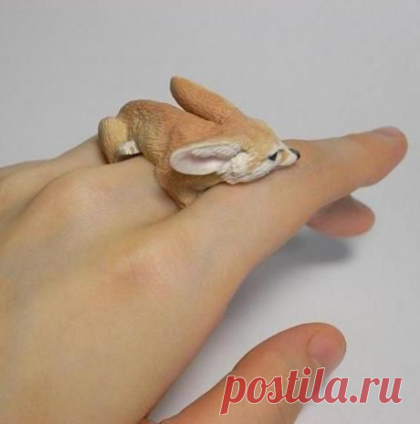Фотографии на стене сообщества | 32 928 фотографий