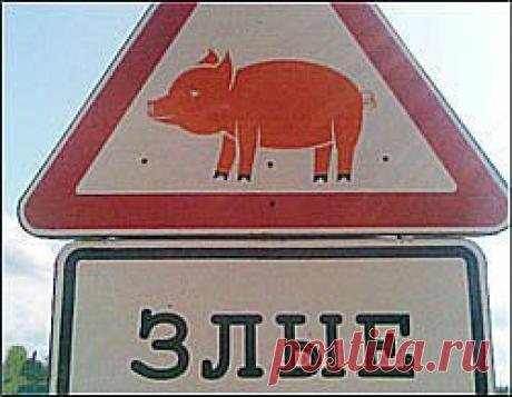 Проблема плохих соседей – одна из древнейших и по сей день не теряющих своей актуальности проблем. Эта аллегорическая басня в стихах расскажет детям и взрослым о том, почему не стоит бесить тех, кто живет с вами рядом.