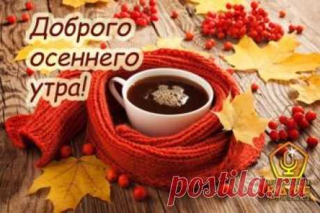 Жизнь играет,жизнь идет,утро солнышко несет,
Пляшет вечности минутка всем желая С добрым утром!
Мир проснулся,все чудесно,все так ново,интересно,
Так приходит вновь рассвет,шлет он счастья букет.
Шлет надежду и любовь,будоражит в жилах кровь