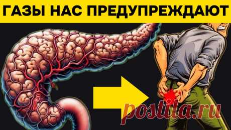 10 тревожных признаков рака поджелудочной железы, которые требуют внимания со стороны врачей | Игорь Ботоговский | Дзен