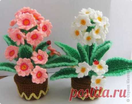 Flor Branca - Timeline Photos