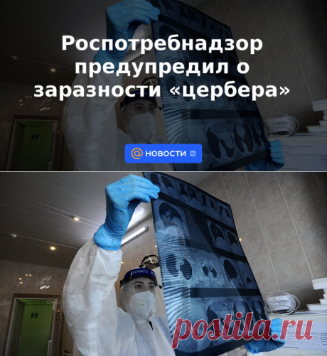 Роспотребнадзор предупредил о заразности цербера - 18 ноября 2022 | Новости Mail.ru