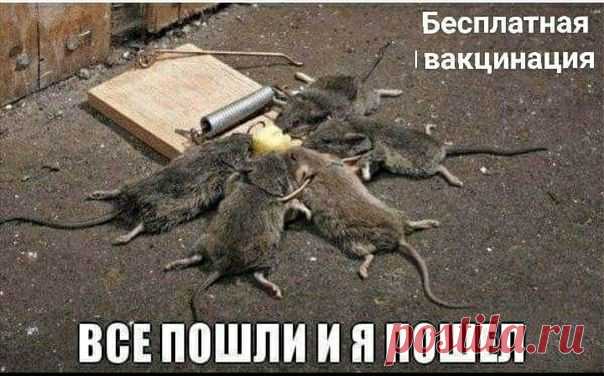 Анти / иллюминаты, масоны и аннунаки / Дэвид Айк