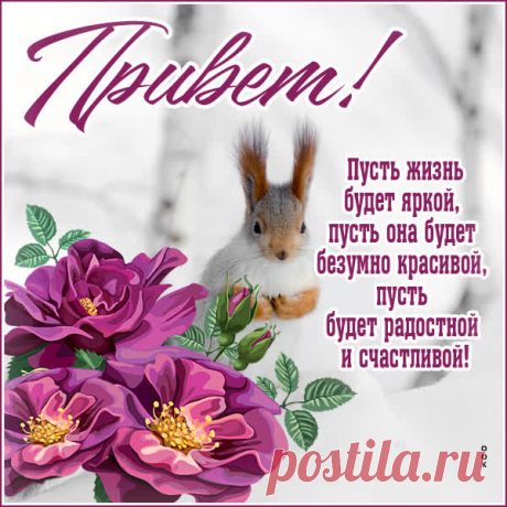 Пусть люди во всём мире
Приветы шлют друг другу,
Желания здоровья
Пускай летят по кругу.