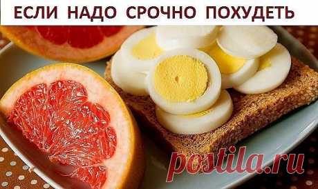 ЕСЛИ НАДО СРОЧНО ПОХУДЕТЬ.. 
Яичная диета 

Знаете ли вы, что продуманная до мелочей система питания поможет быстро похудеть на 10 кг всего лишь за 2 недели. Этот метод похудения идеален – если нужно срочно похудеть! Не используй его дольше – может быть сильная потеря веса 

На такой диете не придется голодать: яйца и правда очень сытный продукт. Ознакомься с этим меню, тебе наверняка захочется похудеть при помощи данных продуктов… 

Отказавшись от углеводов, ты сможешь бы...