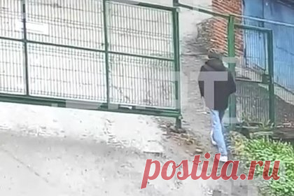 Серийных похитителей собак для ресторанов Москвы задержали