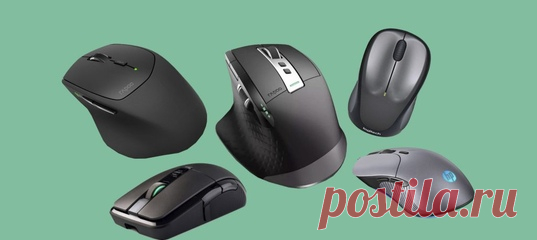 С дополнительными кнопками, сканером отпечатка пальца, RGB-подсветкой и другими полезными фишками.