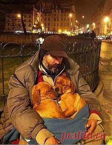 getImage (Изображение JPEG, 373 × 480 пикселов)