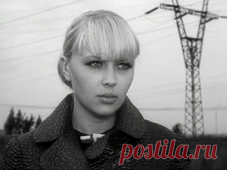 Большие перемены Ирины Азер | Звенимир | Яндекс Дзен