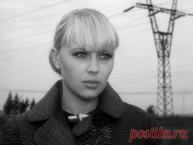 Большие перемены Ирины Азер | Звенимир | Яндекс Дзен